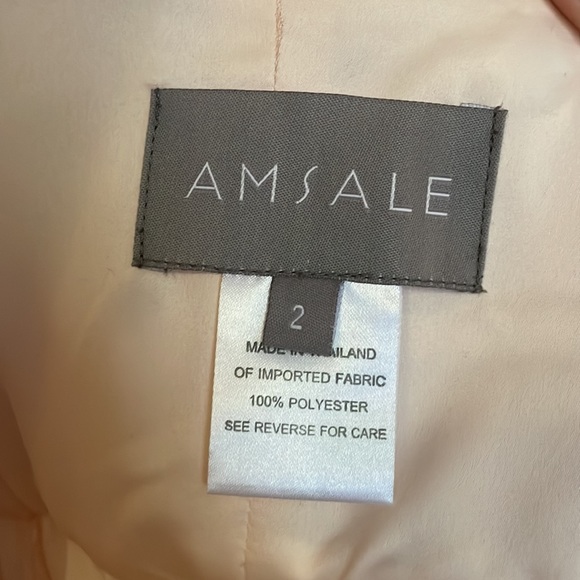 Amsale Tulle Chiffon Isobel dress in Bellini, size 0, Worn Once - Picture 12 of 12